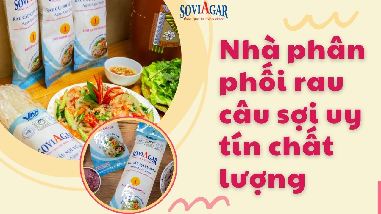 Nhà phối phối rau câu sợi Vũ Minh Sovigar giá tốt nhất 2024 